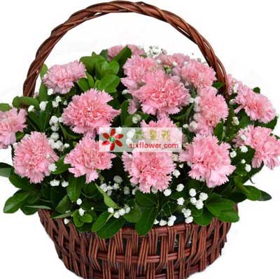 母親節訂花服務 臺州路橋區花店為您傳遞愛的溫暖