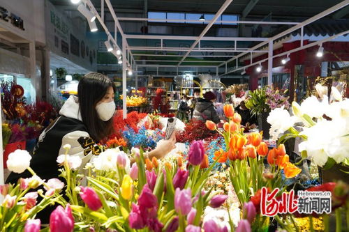 唐山鳳凰花卉市場躋身中國商品市場峰會時尚市場30強，彰顯辦公用品多元化魅力