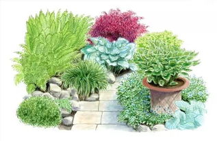 愛世園小伙伴 花境小科普，為迎接花卉盛宴做準備